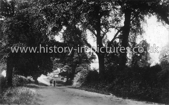 Epping Road, Toot Hill, Essex. c.1950's